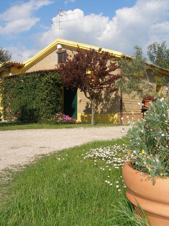 Agriturismo Albarosa-Terre Dell'Amore Marina di Grosseto Δωμάτιο φωτογραφία